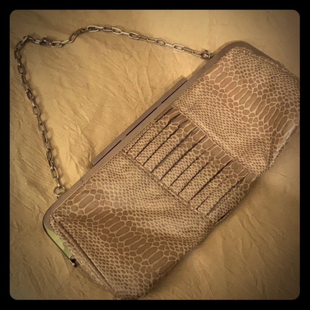 Aldo snakeskin clutch